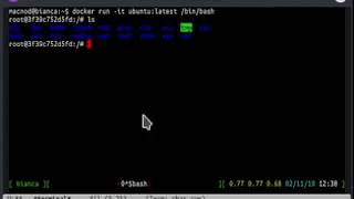 Emacs term with GNU screen