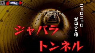 『なんじゃこのトンネルは⁉️』ジャバラトンネル　ムーミン谷のニョロニョロが出ると噂‼️　【4K】