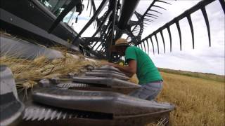 2016 Jeffery Wheat Harvest in Burr Oak Kansas