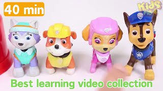 Unboxing Paw Patrol |Best Learning Video/ Paw Patrol Toys/Learn colours for kids