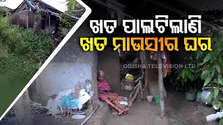 Special Story | Sans roof over head, Subarnapur elderly woman awaits government assistance