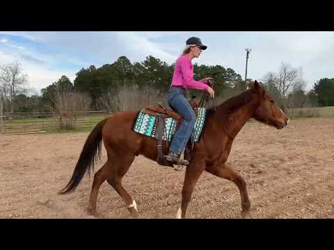 High Octane Tuffy - Tough Flying B Equine - YouTube