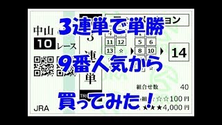 【競馬】泰河の勝負馬券　３連単を９番人気馬から買ってみた！編　【実践】３連単勝負