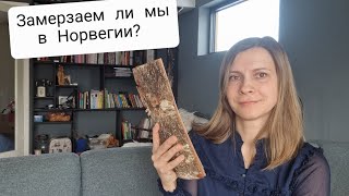 Сколько стоит отопить дом в Норвегии?