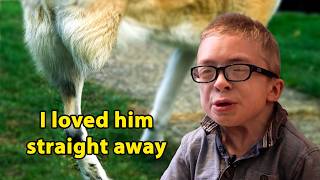 You’ll Cry at This Kid and Disabled Dog’s Touching Story