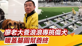 廖老大養流浪狗專挑傷犬　公司前蓋墓園不怕穢氣：能聊聊天｜娛樂星世界