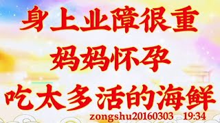 卢台长开示：身上业障很重，妈妈怀孕吃太多活的海鲜zongshu20160303  19:34