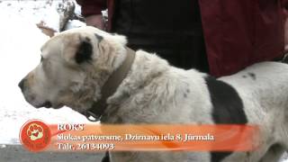 S05E09 Ķepa uz sirds 02.03.2013 HD