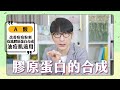 跟老牛一起當個好酸民【牛牛老實說】