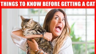 14 Things I Wish I Knew BEFORE Getting a Cat