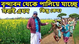 বৃন্দাবন থেকে সবাই কেন পালিয়ে যাচ্ছে এখন, কিন্তু কেন ? জানলে অবাক হবেন ।   বৃন্দাবন ধাম দর্শন,