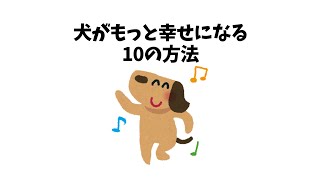 犬がもっと幸せになる10の方法