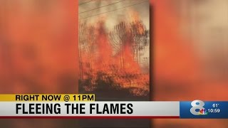 Crews continue to battle Pasco County brush fire, evacuations remain voluntary