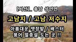 [서산시]_ 고남지 가는길 / 아름다운 땟장밭 / 붕어 멸종설 / 배스터