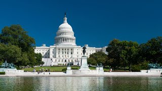 Discover Washington D.C.: Hidden Gems, Iconic Sights, and Essential Travel Tips!