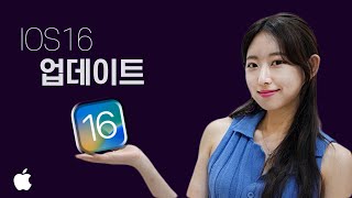 완전 NEW 아이폰 쓰는 기분. iOS16 업데이트