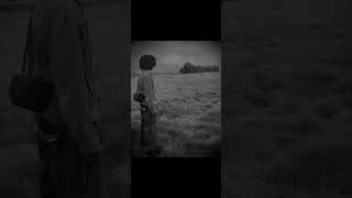 sleepwalking- voi (slowed) extended