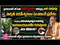 Power full Naga Sadhu |ఈయన భక్తలు ఇంత పెద్ధ రౌడీలా? | Devender Giri Maharaj #sreesannidhitv