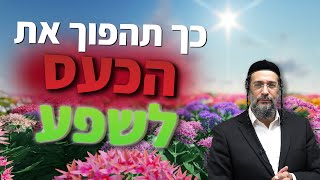 הסוד התגלה! כך תהפוך את הכעס שלך לשפע! 🤯