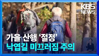 가을 정취 산행…낙엽길은 ‘안전 위협길 위험’ 각별 주의! / KBS  2024.11.04.