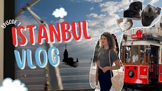 2 Kedi 1 Sosis İstanbul | #episode1 #i̇stanbul #seyahat #vlog