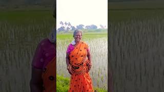 விவசாய வேலை செய்யும் இவர்களுக்கு ஒரு லைக் பண்ணுங்க 🌾🌾🌾🌾