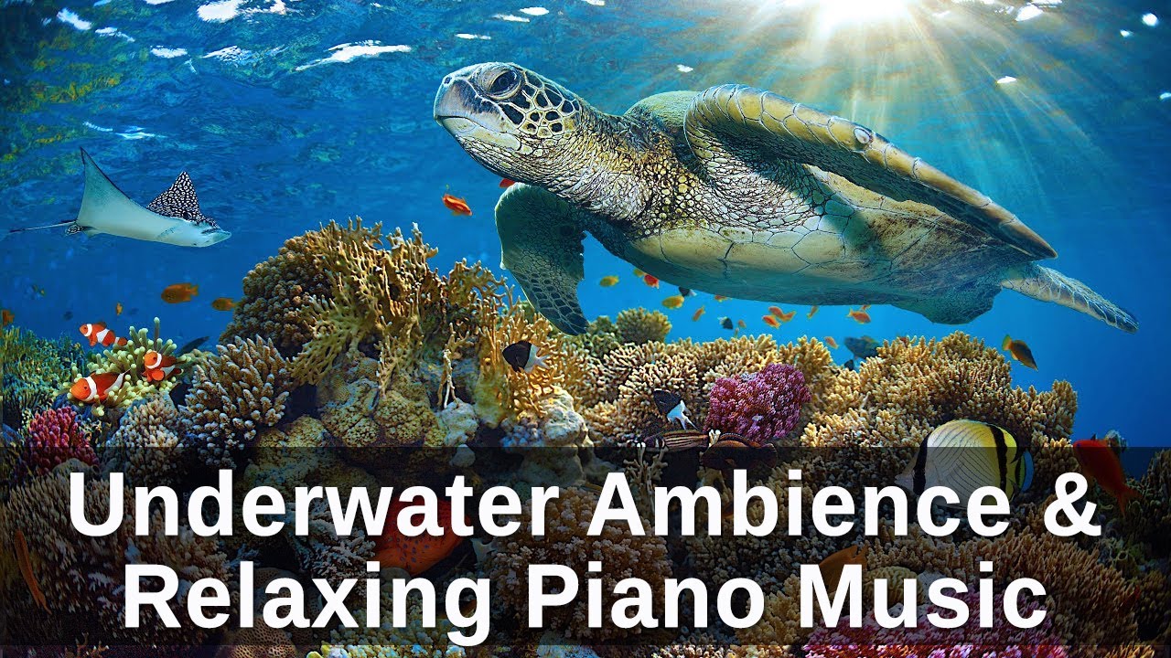 Underwater Relaxing Piano: Beautiful Piano, Sleep Music, Stress Relief ...