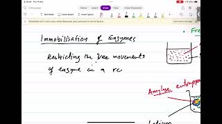 Immobilization of Enzymes