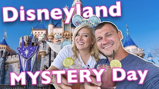 We Have NO IDEA What We're Doing In DISNEYLAND | Secret Checklists For Snacks, Rides, & More