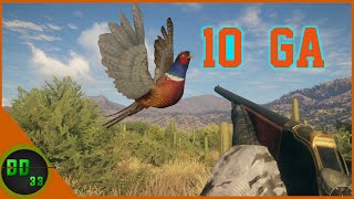 The Ultimate Way To Pheasant Hunt! Call Of The Wild