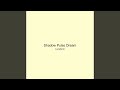 Shadow Pulse Dream