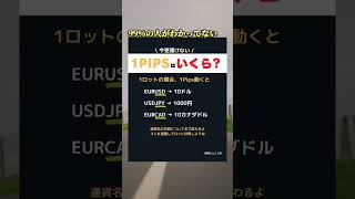 1pipsっていくら?