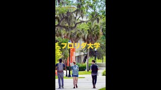 フロリダ大学の大学紹介 #Shorts