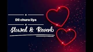 Dil Chura Liya Slowed & Reverb