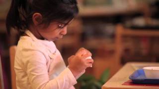 A Peek Inside a Montessori Classroom (Old branding)
