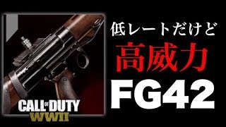 【WW2:実況】連射速度低レートだけど高威力のAR「FG42」でチーデス【TDM】