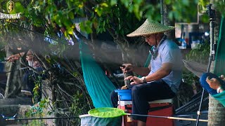 Câu Đài Thiên Nhiên | Đảo Cò - Hải Dương một địa điểm lý tưởng cho các anh em nghiện câu