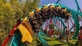 Kumba front row Busch gardens tampa Florida !