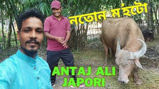 Antaj ali japori  নতোন ম'হটো ৰাইজ🔥🔥