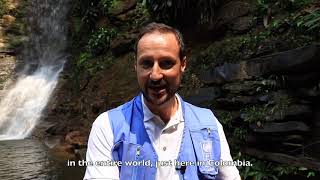 Crown Prince Haakon in Colombia's rainforest