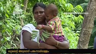 No Road Facilities in Attappadi Pankanaripallam Ooru  ;  Residents in Crisis