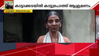 കാട്ടാക്കടയിൽ കാട്ടുപോത്തിന്റെ  ആക്രമണത്തിൽ ഒരാൾക്ക് ഗുരുതര പരിക്ക് | Bison attack