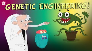 GENETIC ENGINEERING | What Is GENETIC Engineering? | Genetics | The Dr Binocs Show | Peekaboo Kidz