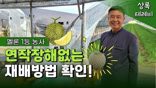 같은 자리에서 10년 넘게 #연작장해 없이 #멜론 #1등농사 합니다!