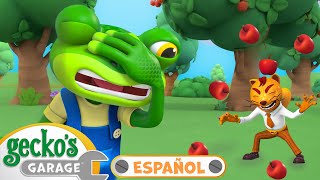 Verde salva el árbol  🐸🦎 📺 TV para niños 📺 Moonbug Caricaturas y Dibujos Animados Para Niños