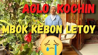 Aglo Kochin mbok kebon letoy 😆