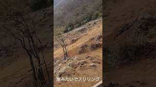 神奈川　大山登山　日向薬師からのスタート　2023年4月1日