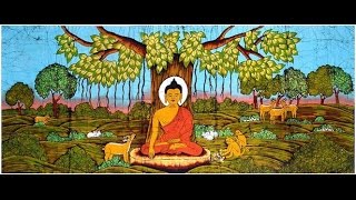 ANIMALS AND THE BUDDHA