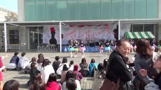 【清透祭2014】外ステージ【1025】