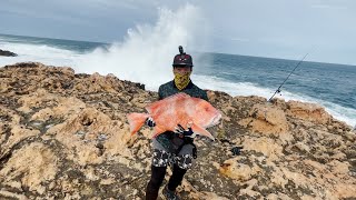 붉은도미 갯바위 드론 낚시. Red Emperor Landbased  at Quobba station   #대물 #Dronefishing #갯바위낚시 #참돔  #redemperor